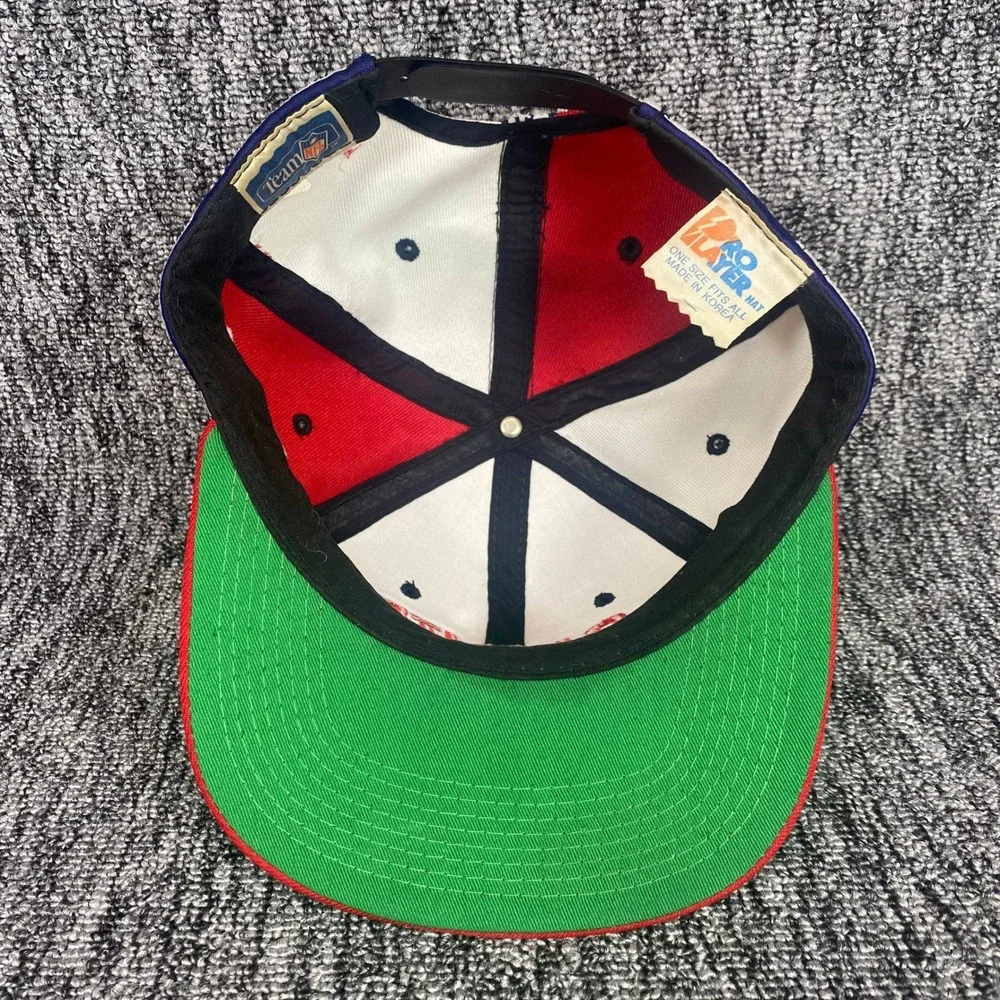Vintage 90s New York Giants Pro Player Tape Logo Snapback Hat Cap Colorblock NFL